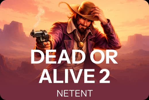 Dead or Alive 2.webp
